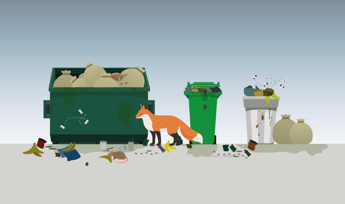 Why You Should Avoid Having Overflowing Garbage Bins - Sweitzer Waste